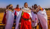Ewaso Lion_Anthony Ochieng-118