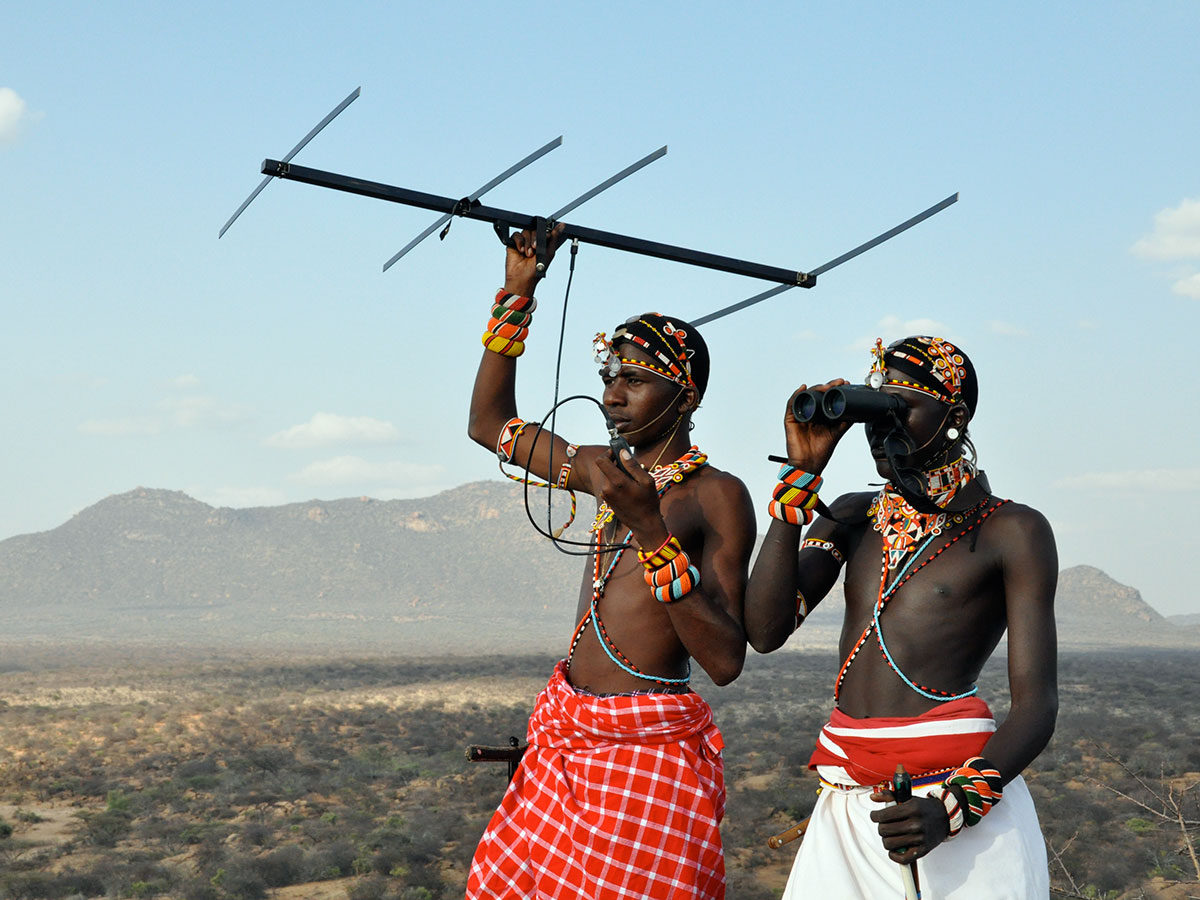 Jeneria-tracking-lions-Ewaso-Lions