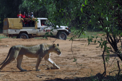 lion-Watch-Community-Programme