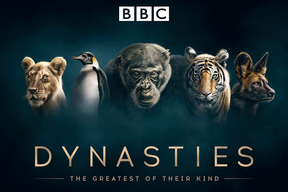 dynasties-on-bbc