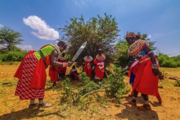 Ewaso Lion_Anthony Ochieng-154