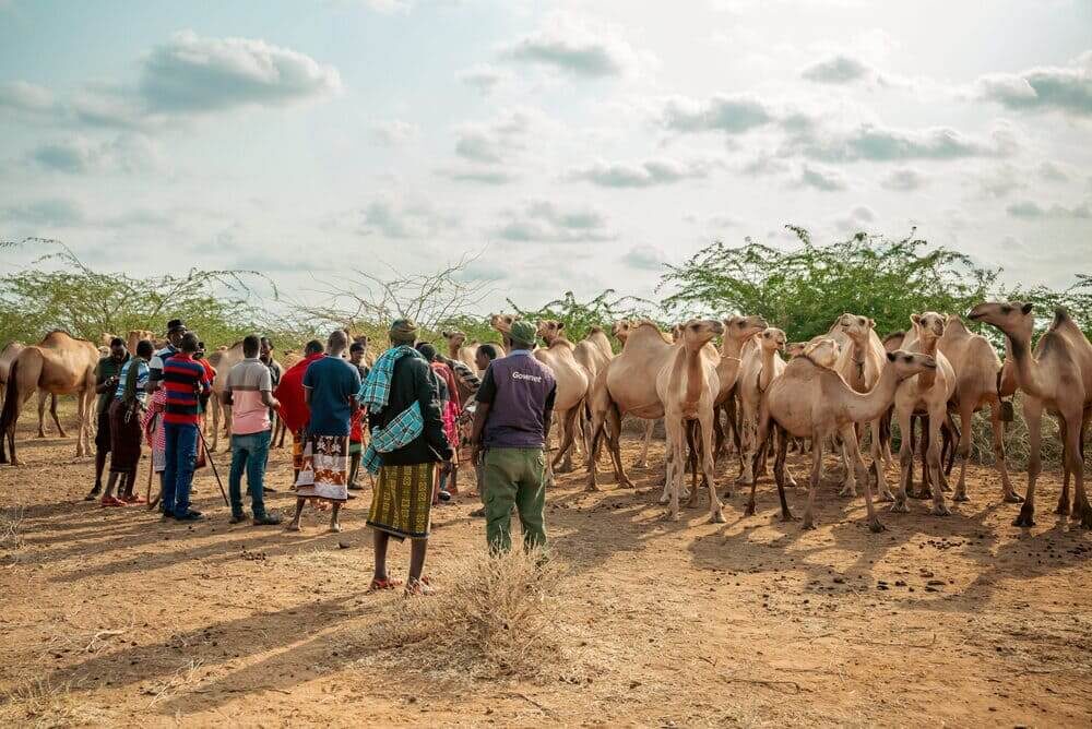 Camel recce(3-5 August 2025)-30