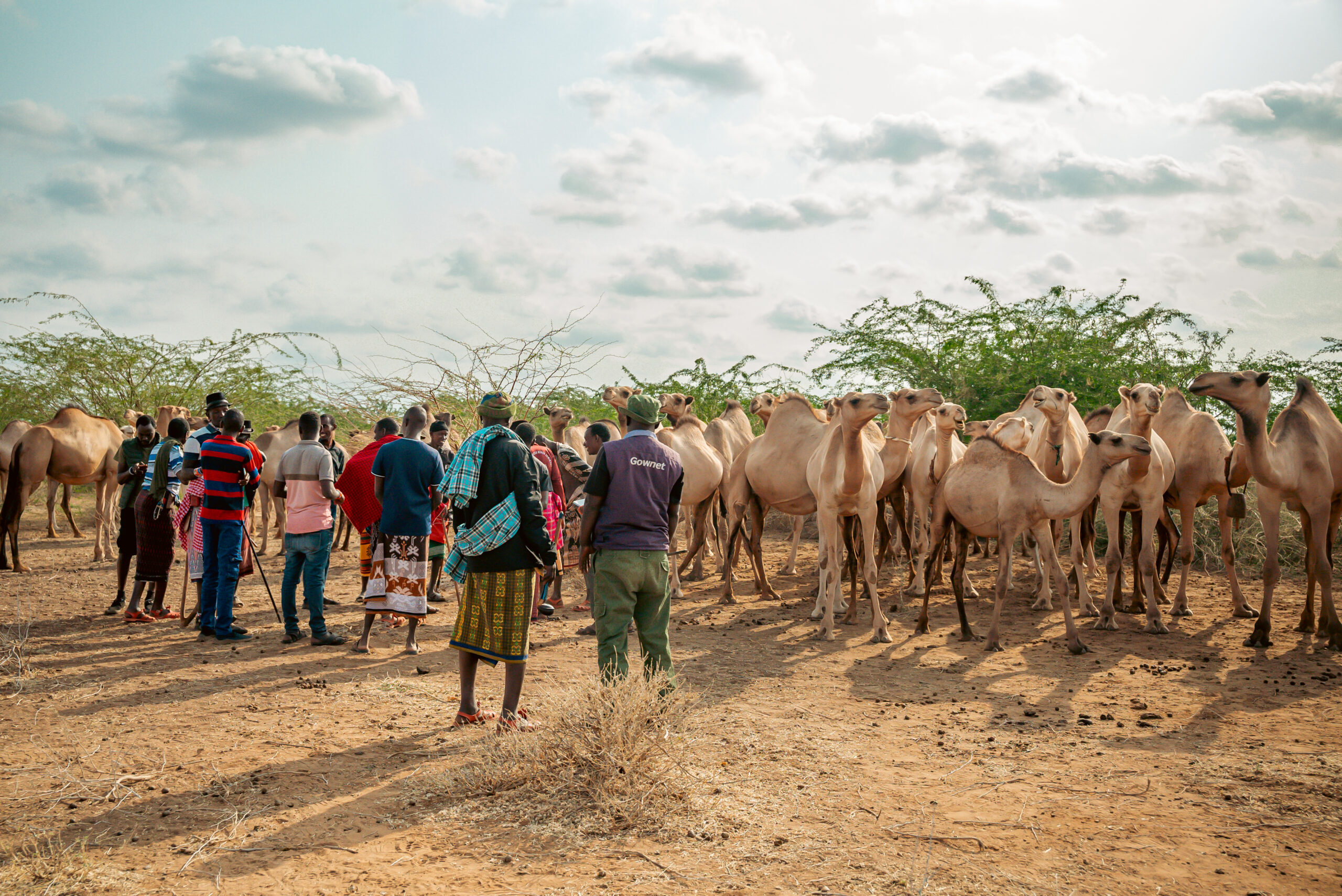 Camel recce(3-5 August 2025)-30