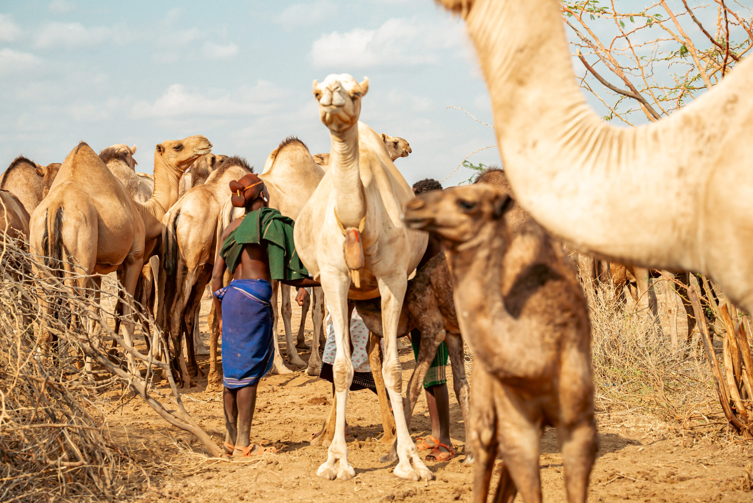 Camel recce(3-5 August 2025)-42