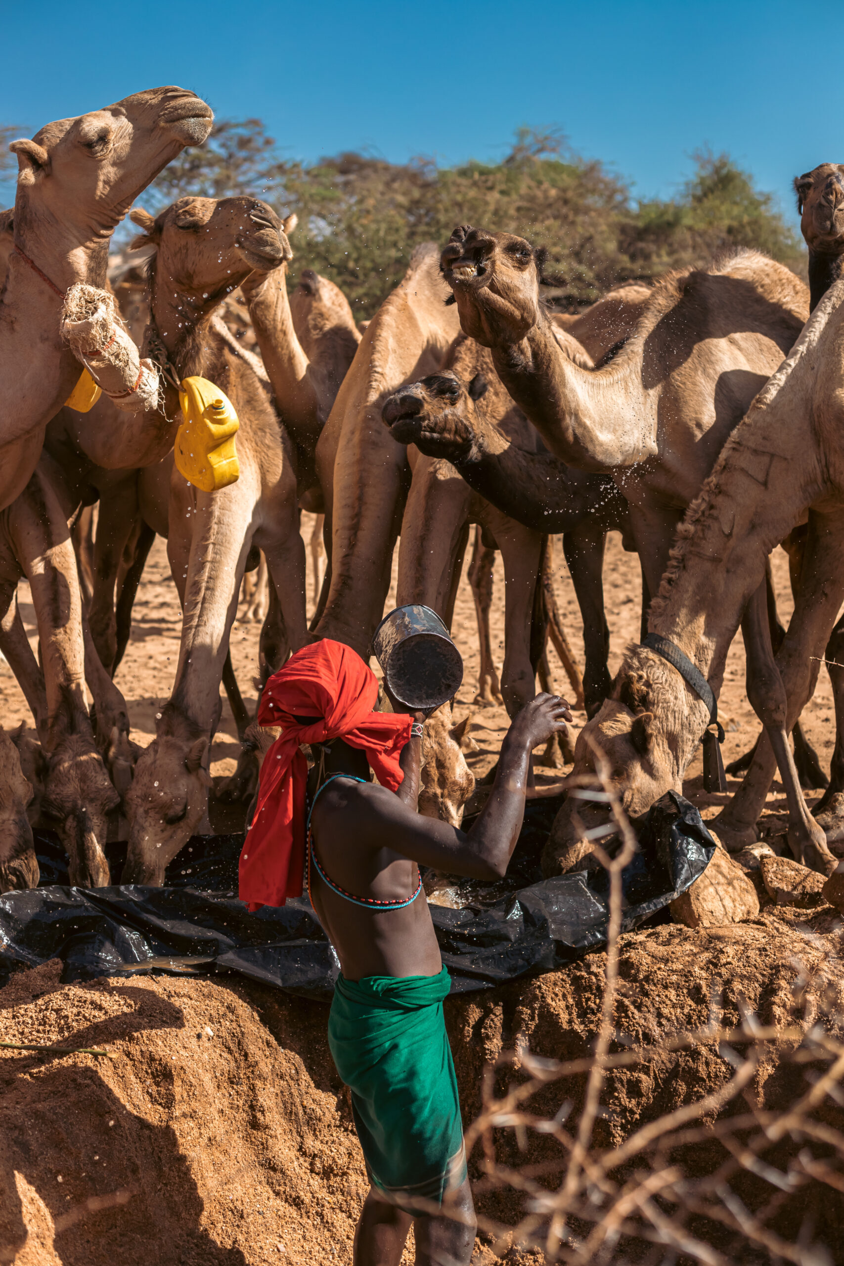 Pukur+Remote 2023-19