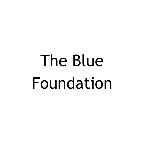 The Blue Foundation