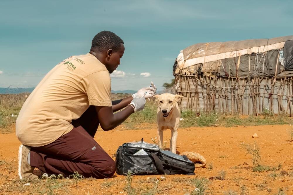 Westgate Annual Vaccinations Day1–78
