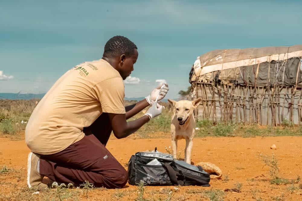 Westgate Annual Vaccinations Day1–79